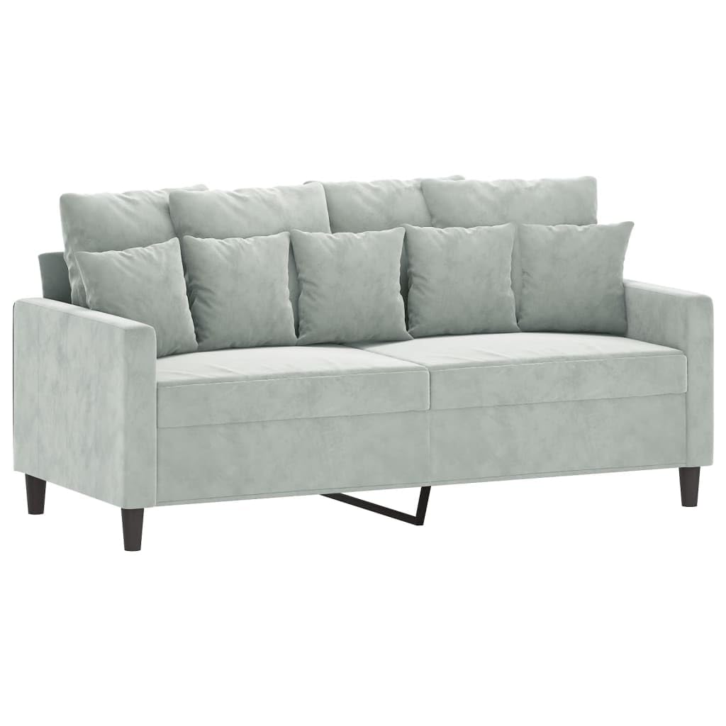 Light Gray Velvet 2 Piece Sofa Set W61831