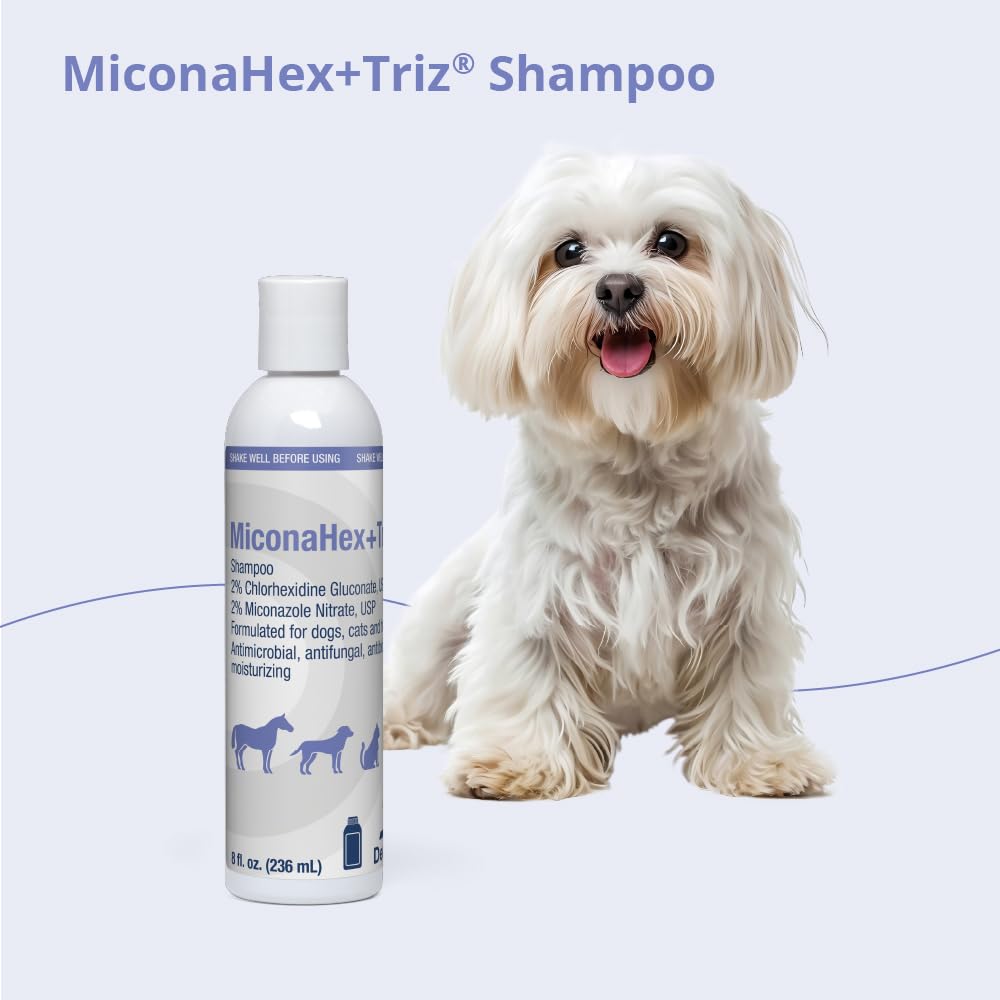 Shampoo for Dogs, Cats and Horses, 8 oz B56914