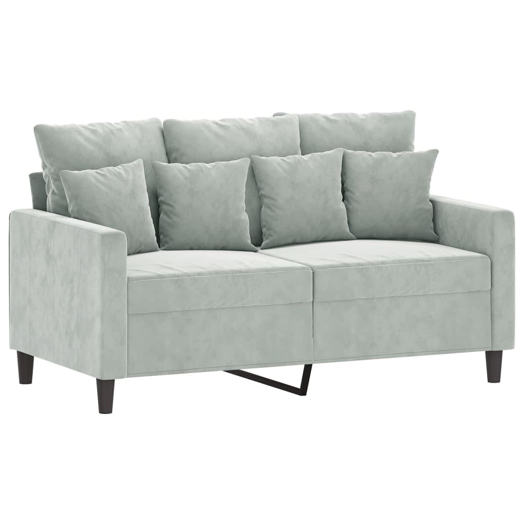 Light Gray Velvet 2 Piece Sofa Set W61831
