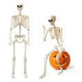 5.4FT Skeleton Halloween Decoration F364754