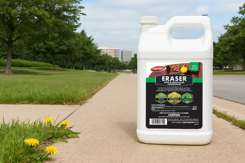 1 Gallon Weed & Grass Killer Concentrate S270