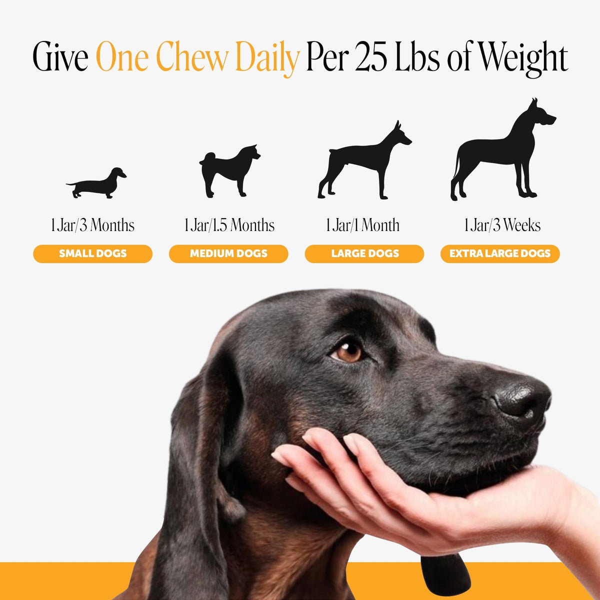Salmon 90ct Dog Allergy Chews Z52341