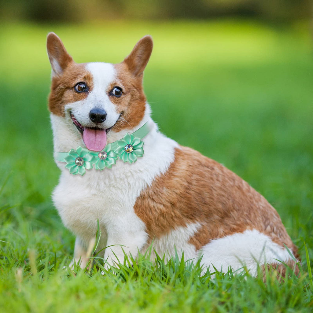80 Pcs Dog Bowtie Flower Collar Adjustable J98475