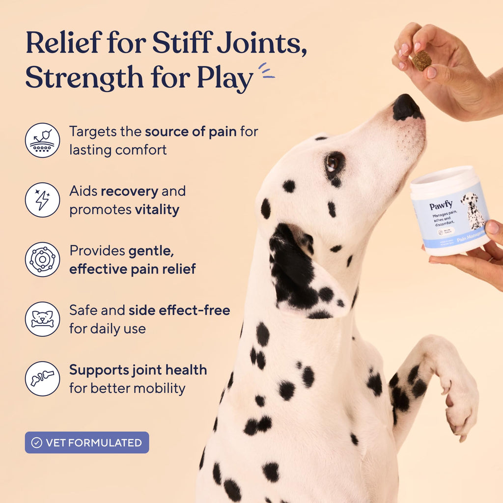 Hip & Joint Supplement for Dogs E89298