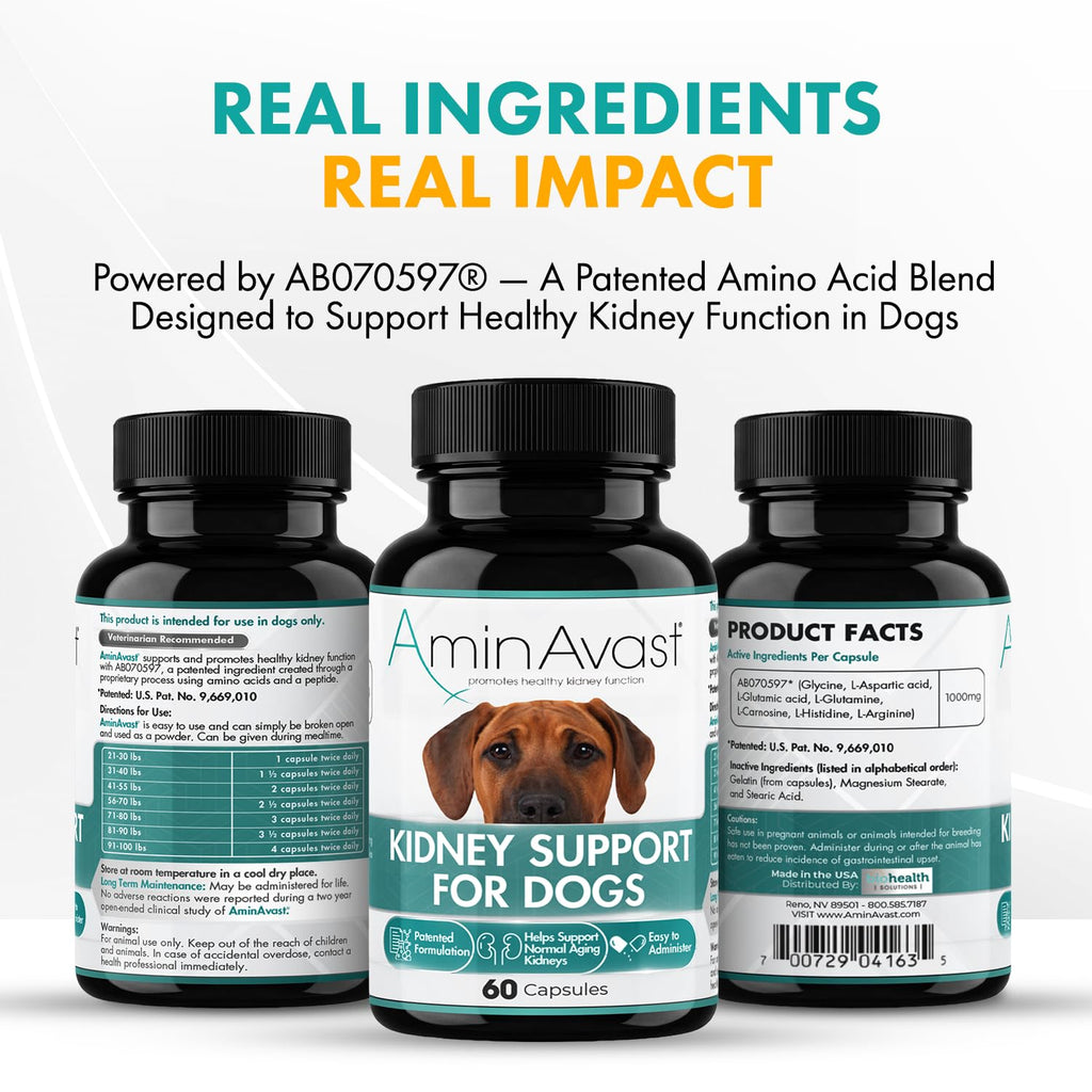 Kidney Support for Dogs 60 Sprinkle Capsules W546277