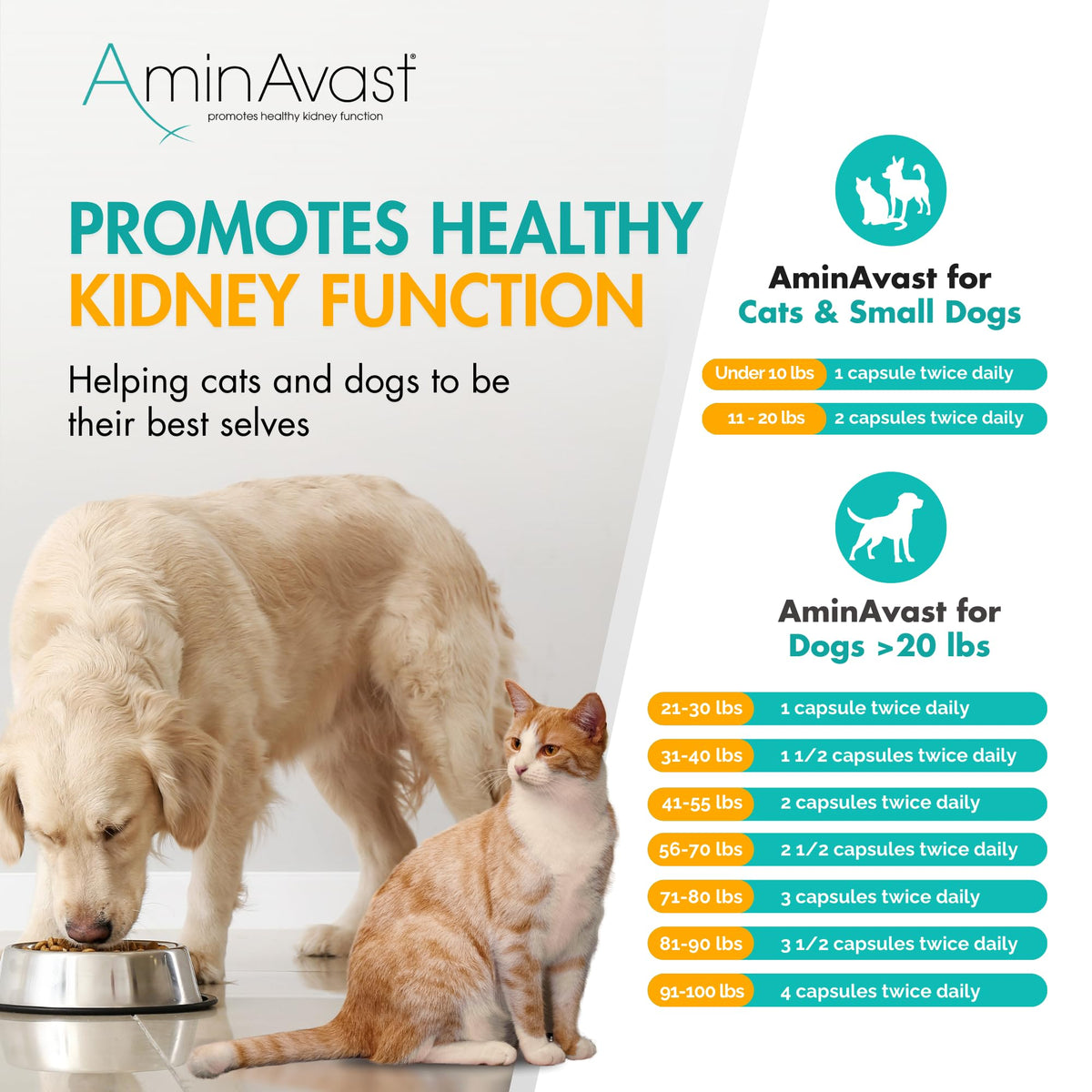 Kidney Support for Dogs 60 Sprinkle Capsules W546277