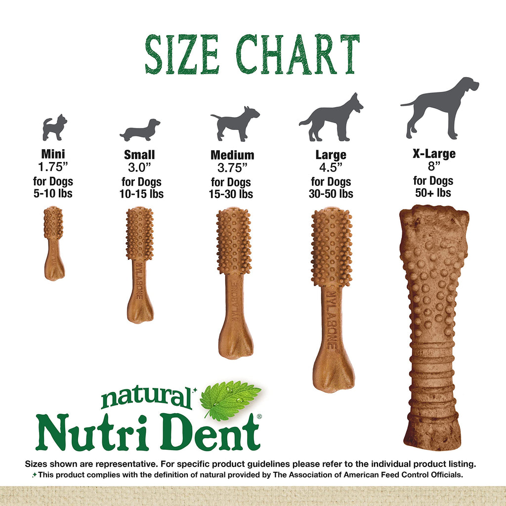 Filet Mignon Flavor Dog Dental Treats 40 Count R306763