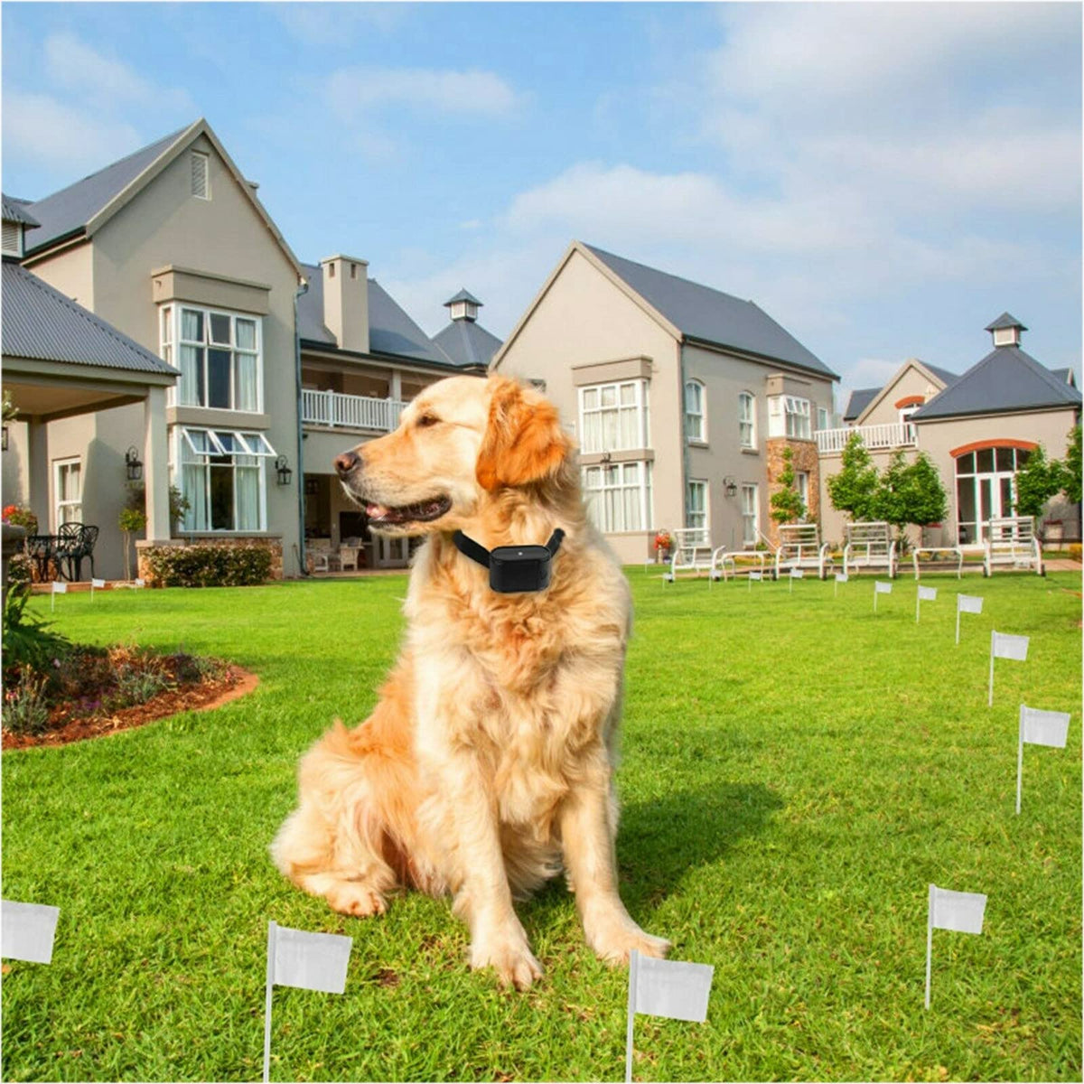Wireless Electric Dog Fence System, In-ground/Aboveground Pet Containment System T9796