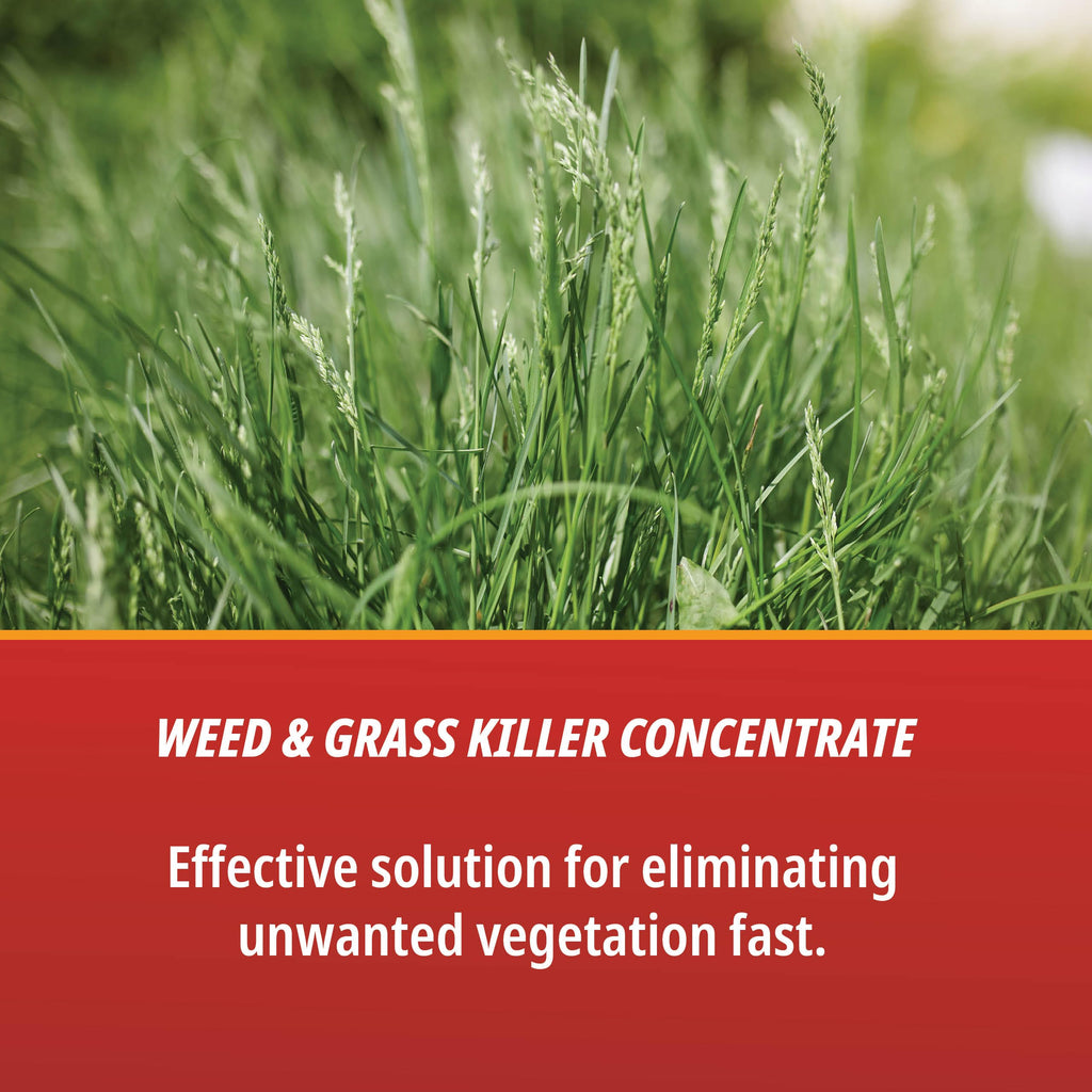 1 Gallon Weed & Grass Killer Concentrate S270