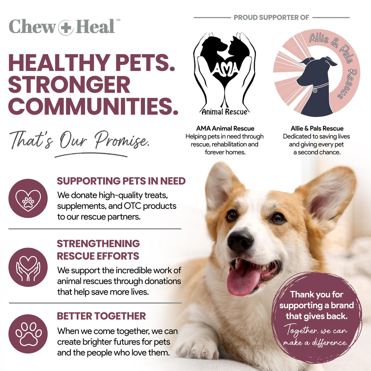 Dog Multivitamin Soft Chew J76776