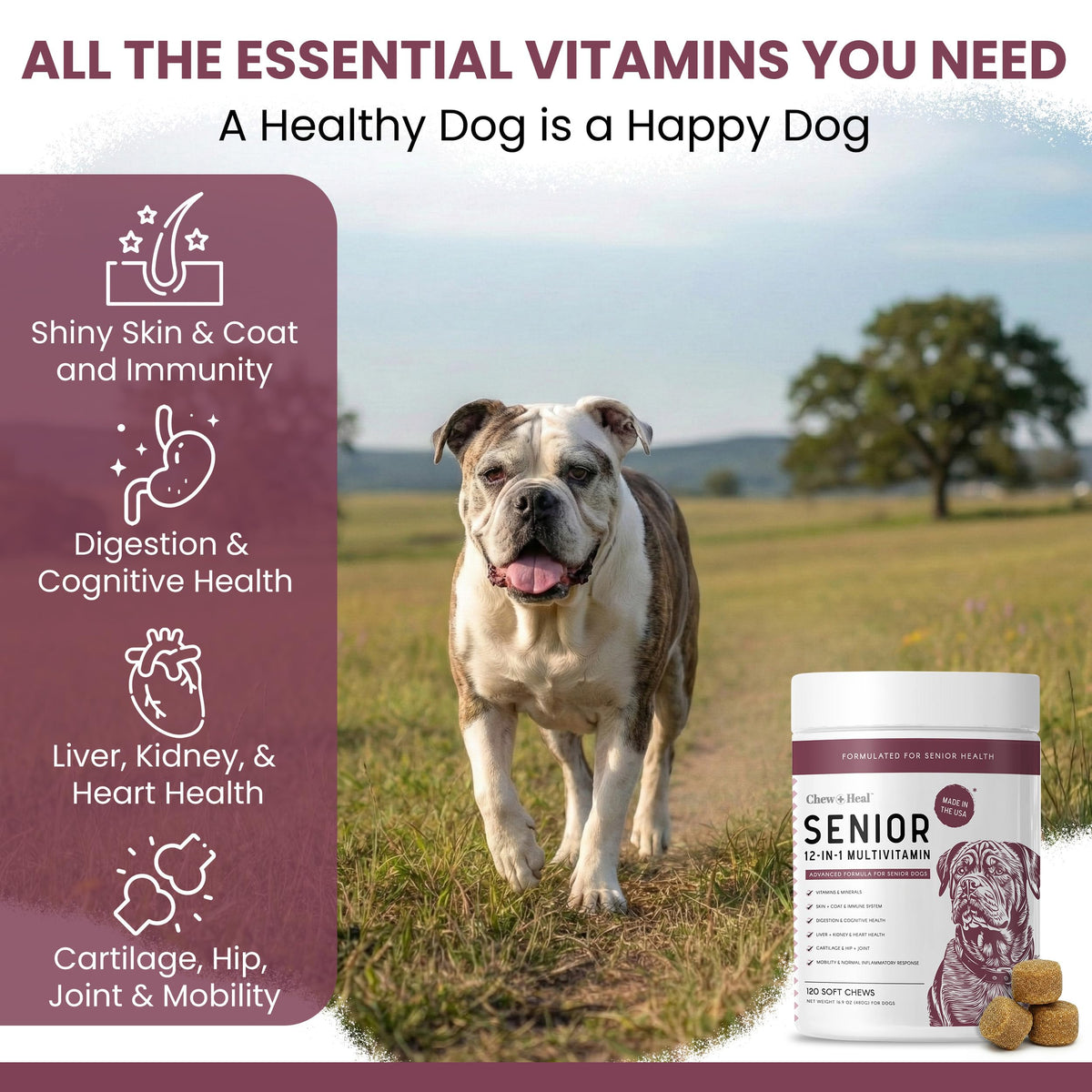Dog Multivitamin Soft Chew J76776