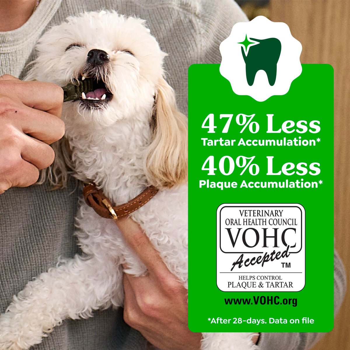 Large Natural Dental Dog Treats, 24 Count S643