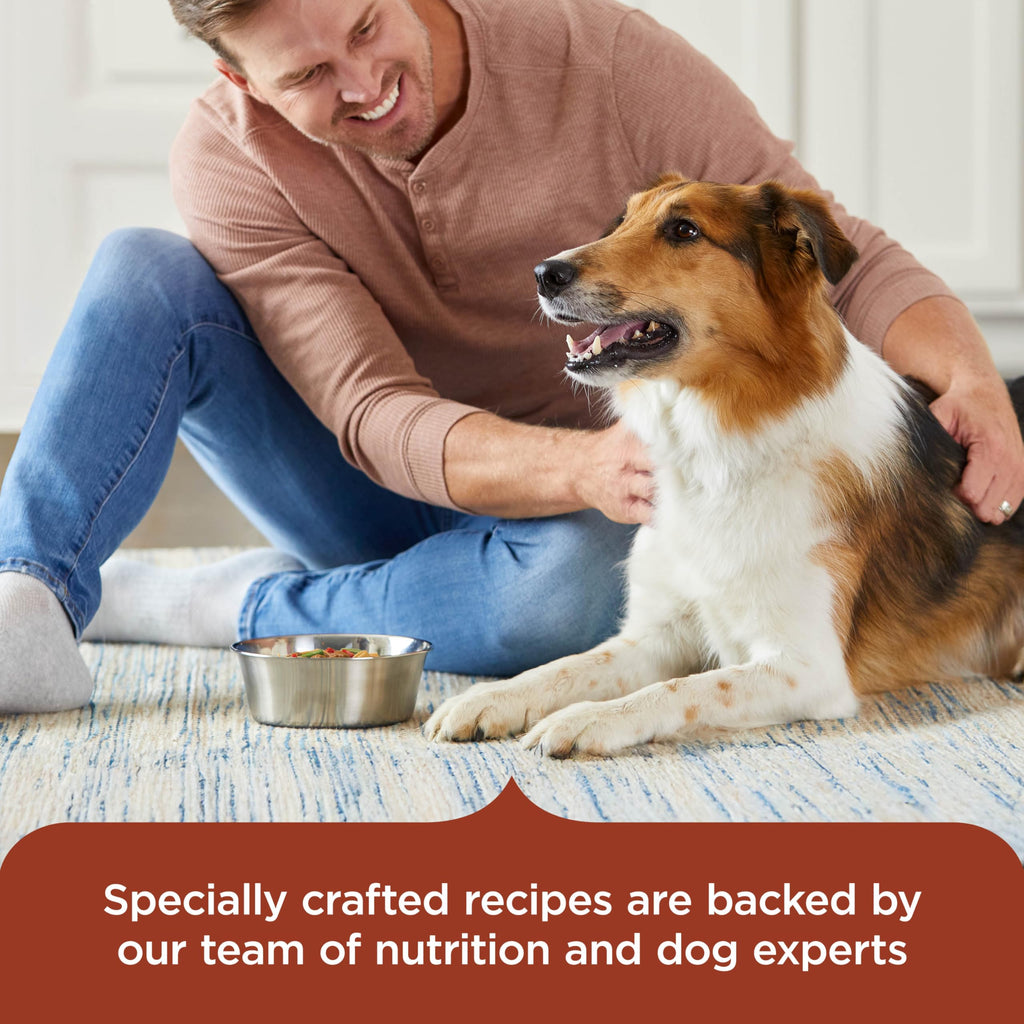 Savory Favorites Wet Dog Food Variety Pack, 8 oz Tubs T61191