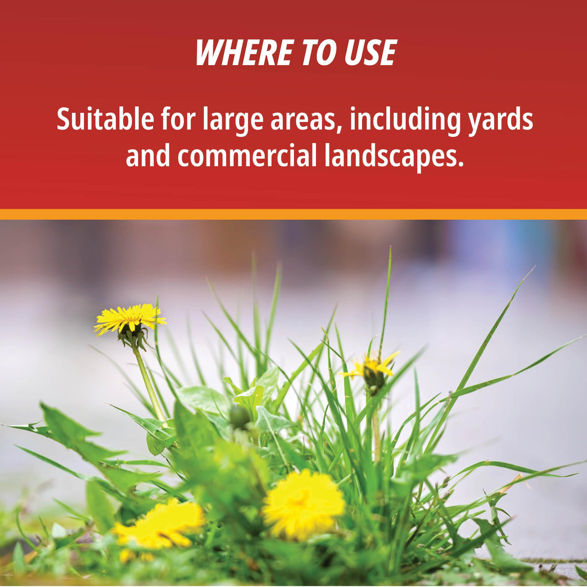 1 Gallon Weed & Grass Killer Concentrate S270