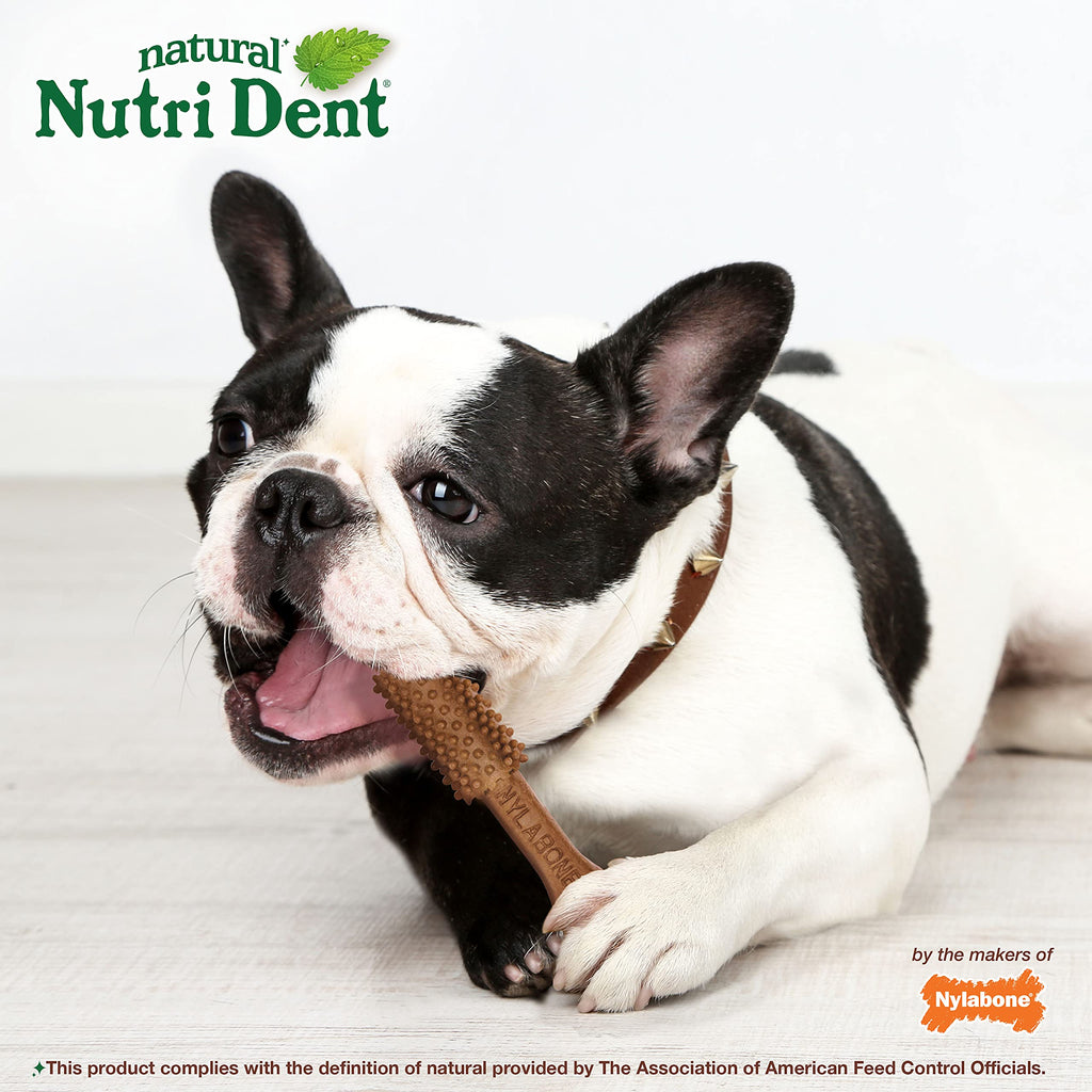 Filet Mignon Flavor Dog Dental Treats 40 Count R306763