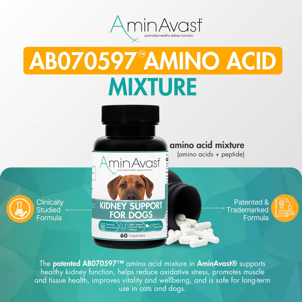 Kidney Support for Dogs 60 Sprinkle Capsules W546277