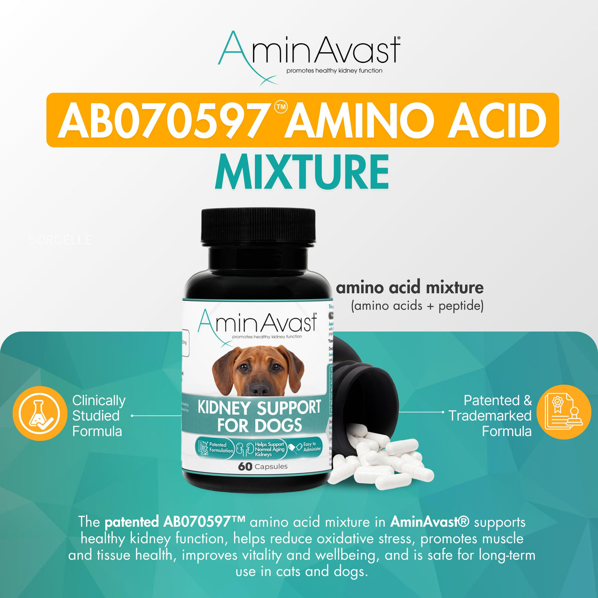 Kidney Support for Dogs 60 Sprinkle Capsules W546277