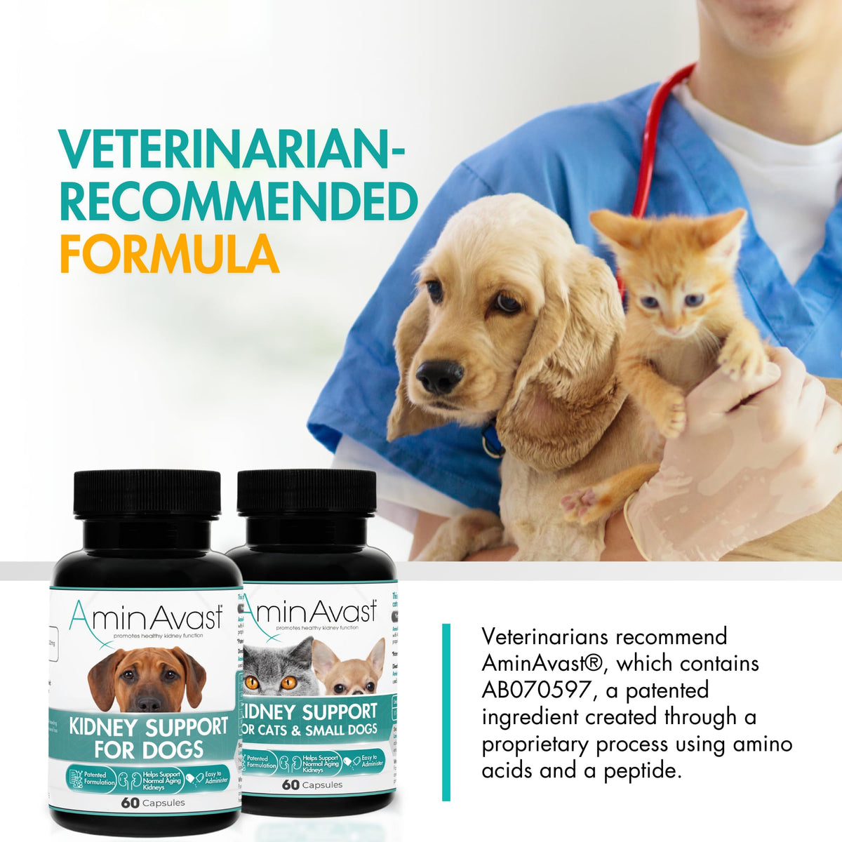 Kidney Support for Dogs 60 Sprinkle Capsules W546277