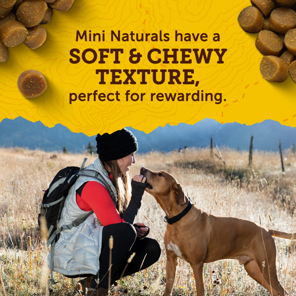 Real Peanut Butter Dog Training Treats 16 oz S336056