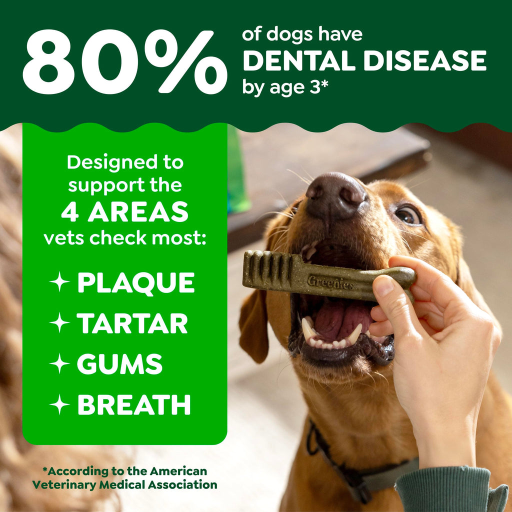 Large Natural Dental Dog Treats, 24 Count S643
