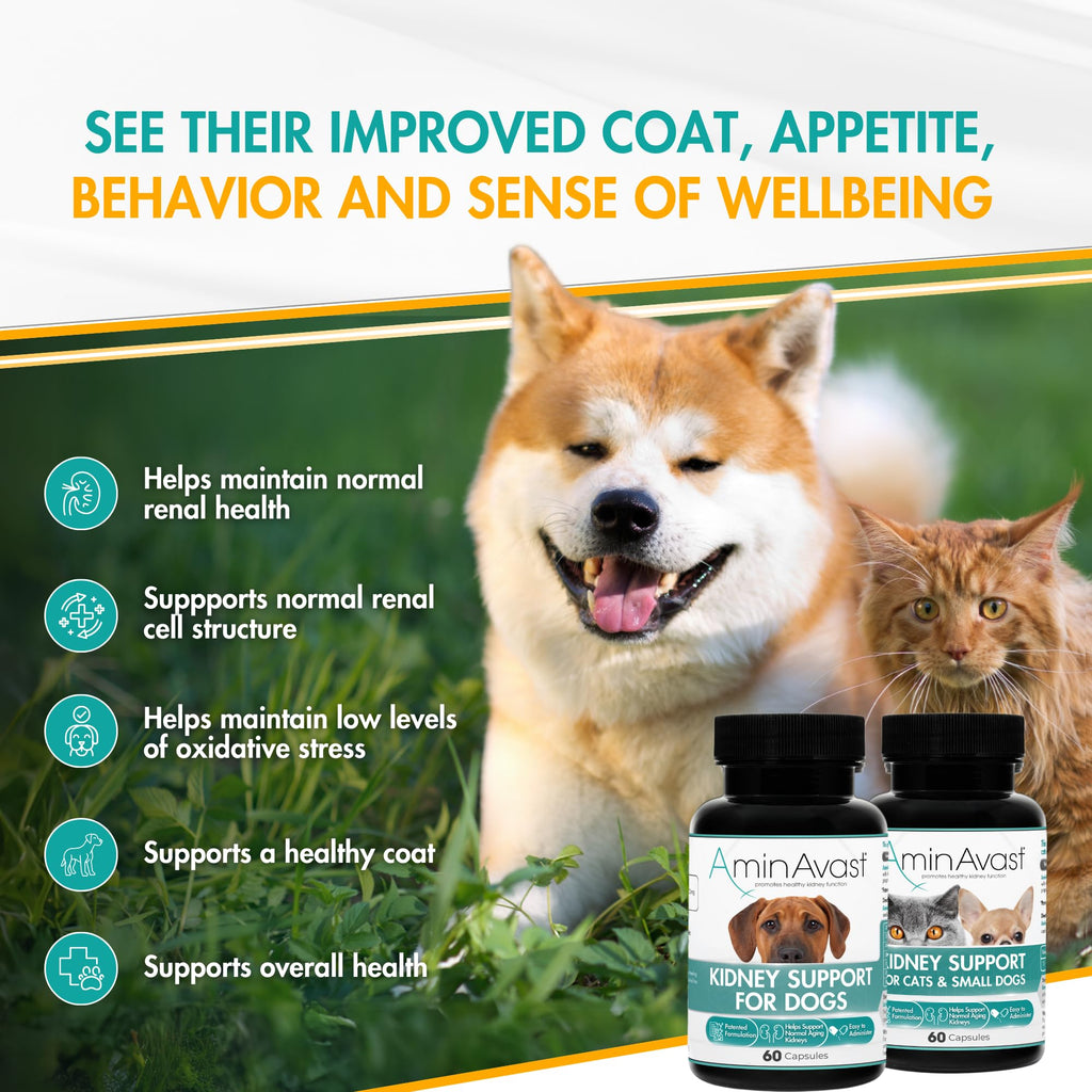 Kidney Support for Dogs 60 Sprinkle Capsules W546277