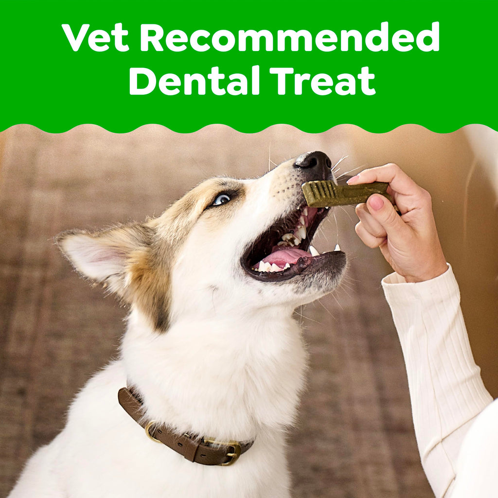 Large Natural Dental Dog Treats, 24 Count S643