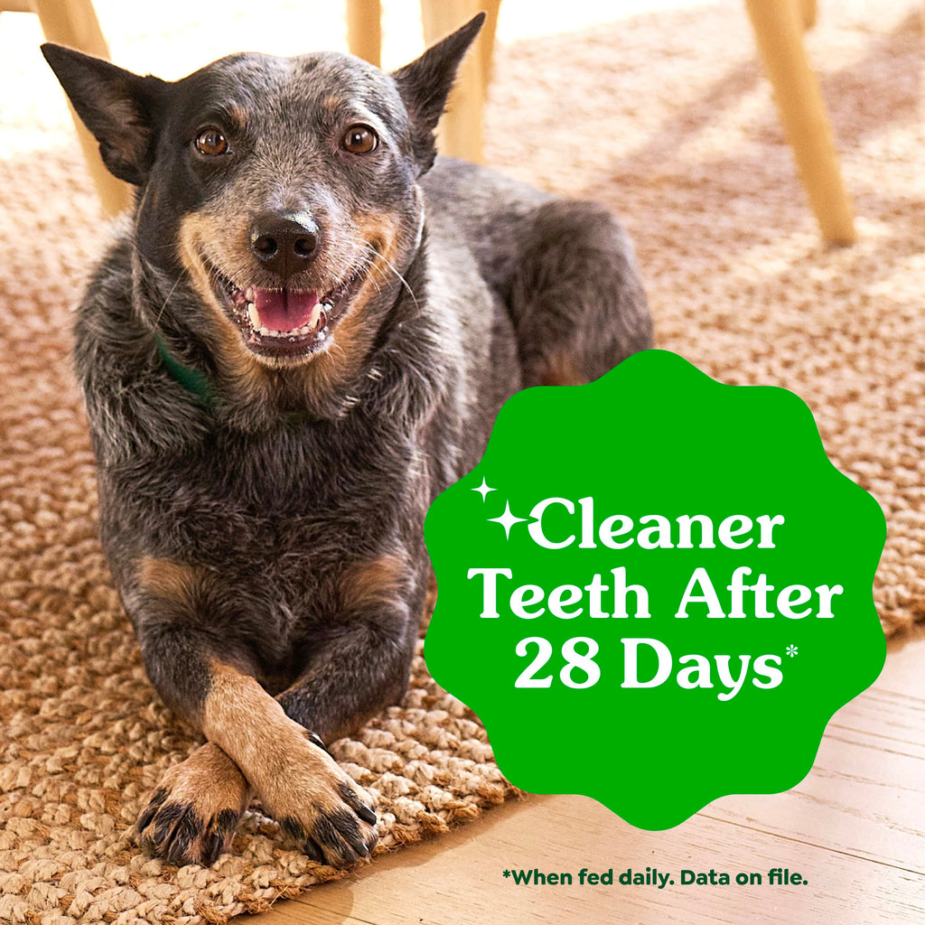 Large Natural Dental Dog Treats, 24 Count S643
